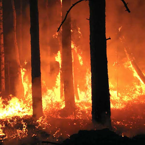 Dichiarazione stato di massima pericolosità per gli incendi boschivi su tutto il territorio regionale del Piemonte